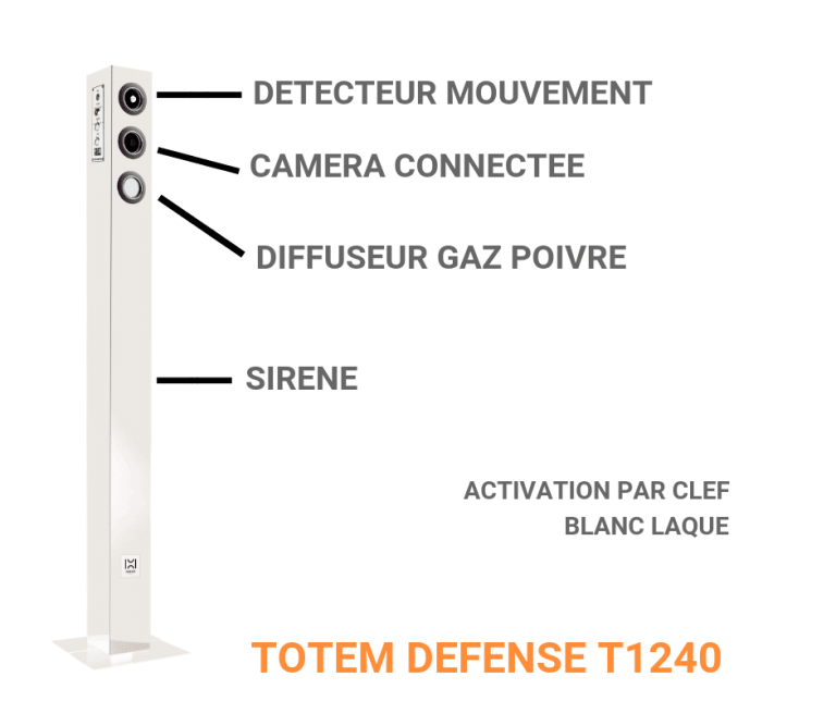 alarme maison intrusion