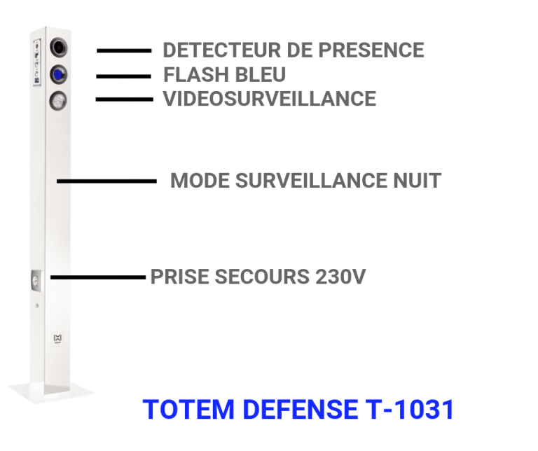 videosurveillance